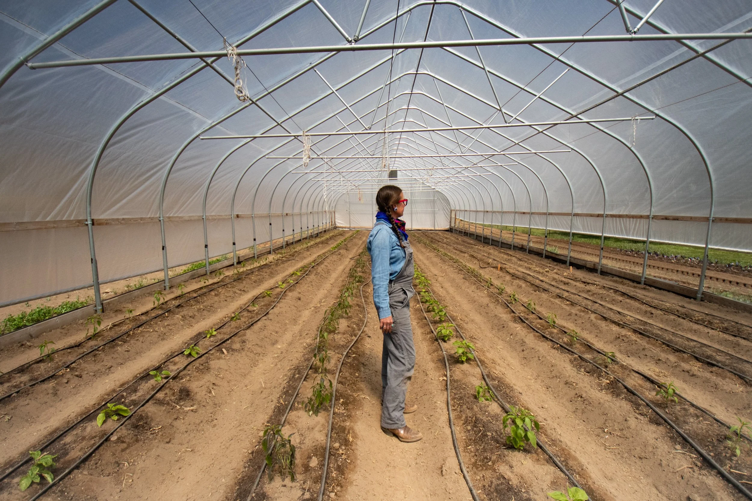 Sakari Farms/Bend, Oregon | Explore Native Foods Today